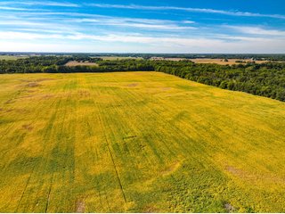 Property photo 21 - LAND AUCTION - 189+/-ACRES OFFERED IN 3 TRACTS IN KOSCIUSKO COUNTY, INDIANA