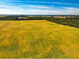 Property photo 20 - LAND AUCTION - 189+/-ACRES OFFERED IN 3 TRACTS IN KOSCIUSKO COUNTY, INDIANA