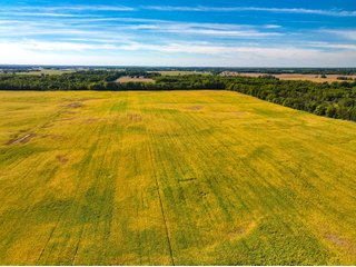 Property photo 19 - LAND AUCTION - 189+/-ACRES OFFERED IN 3 TRACTS IN KOSCIUSKO COUNTY, INDIANA