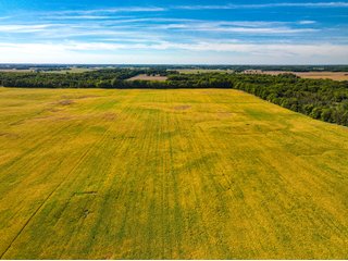 Property photo 11 - LAND AUCTION - 189+/-ACRES OFFERED IN 3 TRACTS IN KOSCIUSKO COUNTY, INDIANA