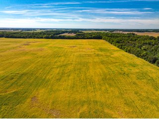 Property photo 4 - LAND AUCTION - 189+/-ACRES OFFERED IN 3 TRACTS IN KOSCIUSKO COUNTY, INDIANA
