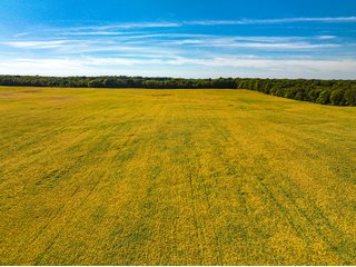 Property photo 2 - LAND AUCTION - 189+/-ACRES OFFERED IN 3 TRACTS IN KOSCIUSKO COUNTY, INDIANA