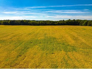 Property photo 8 - LAND AUCTION - 189+/-ACRES OFFERED IN 3 TRACTS IN KOSCIUSKO COUNTY, INDIANA