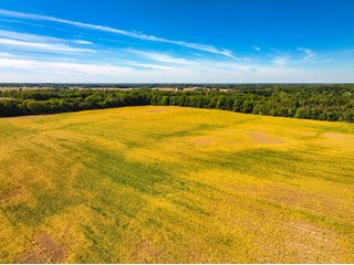 Property photo 9 - LAND AUCTION - 189+/-ACRES OFFERED IN 3 TRACTS IN KOSCIUSKO COUNTY, INDIANA