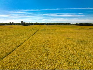 Property photo 10 - LAND AUCTION - 189+/-ACRES OFFERED IN 3 TRACTS IN KOSCIUSKO COUNTY, INDIANA