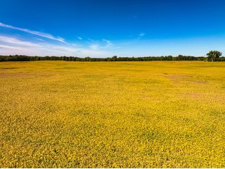 Property photo 3 - LAND AUCTION - 189+/-ACRES OFFERED IN 3 TRACTS IN KOSCIUSKO COUNTY, INDIANA