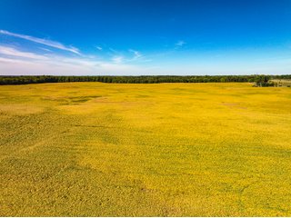 Property photo 12 - LAND AUCTION - 189+/-ACRES OFFERED IN 3 TRACTS IN KOSCIUSKO COUNTY, INDIANA