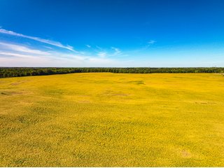 Property photo 16 - LAND AUCTION - 189+/-ACRES OFFERED IN 3 TRACTS IN KOSCIUSKO COUNTY, INDIANA