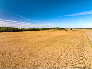Property photo 26 - LAND AUCTION - 162.5+/-ACRES OFFERED IN 4 TRACTS IN KOSCIUSKO COUNTY, INDIANA