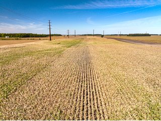 Property photo 5 - LAND AUCTION - 162.5+/-ACRES OFFERED IN 4 TRACTS IN KOSCIUSKO COUNTY, INDIANA