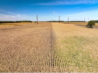 Property photo 6 - LAND AUCTION - 162.5+/-ACRES OFFERED IN 4 TRACTS IN KOSCIUSKO COUNTY, INDIANA