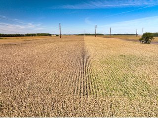 Property photo 7 - LAND AUCTION - 162.5+/-ACRES OFFERED IN 4 TRACTS IN KOSCIUSKO COUNTY, INDIANA