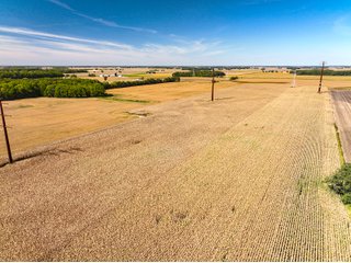 Property photo 8 - LAND AUCTION - 162.5+/-ACRES OFFERED IN 4 TRACTS IN KOSCIUSKO COUNTY, INDIANA