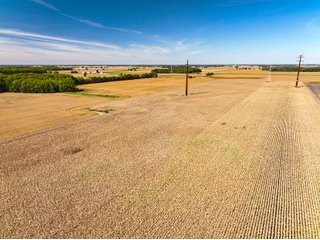 Property photo 15 - LAND AUCTION - 162.5+/-ACRES OFFERED IN 4 TRACTS IN KOSCIUSKO COUNTY, INDIANA