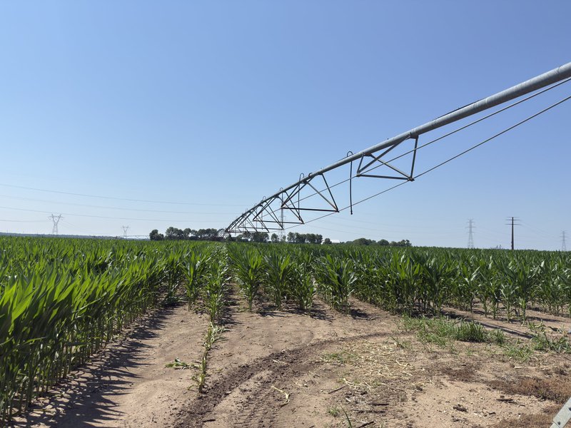 Tract 13, South pivot: Spans