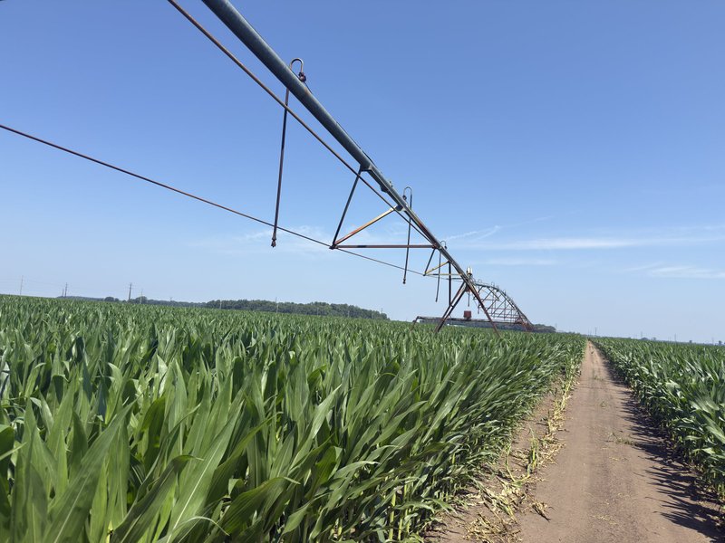 Tract 14, South pivot: Spans