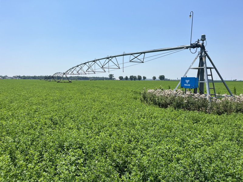 Tract 15, North pivot: Pivot point and spans