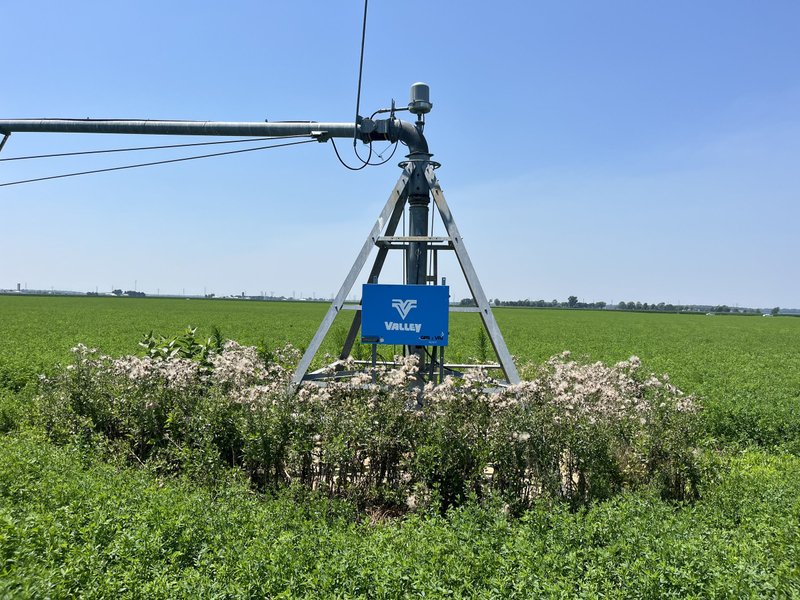 Tract 15, North pivot: Pivot point