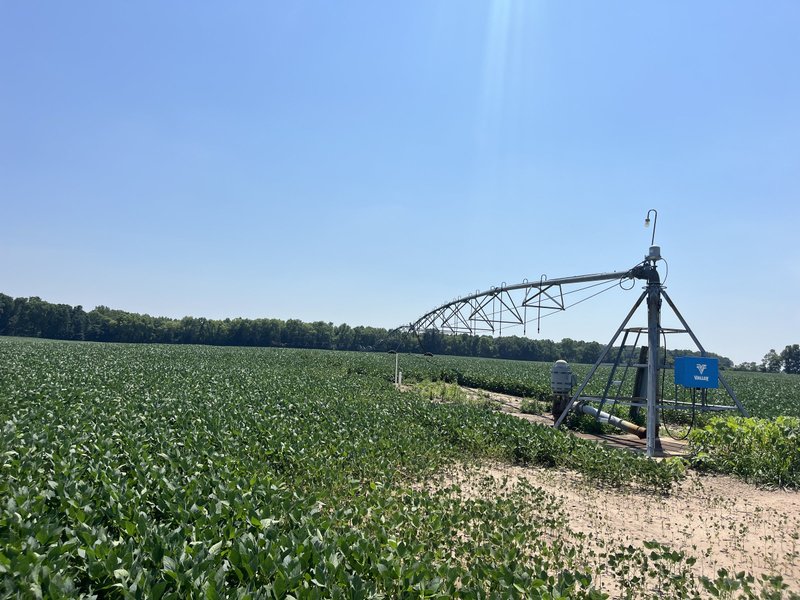 Tract 5, Center pivot: Pivot point and spans