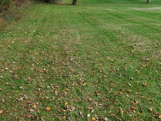 Property photo 61 - COUNTRY HOME FOR SALE - 1.5+/-ACRES IN NOBLE COUNTY, INDIANA