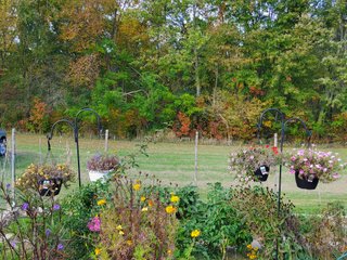 Property photo 58 - COUNTRY HOME FOR SALE - 1.5+/-ACRES IN NOBLE COUNTY, INDIANA