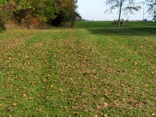 Property photo 49 - COUNTRY HOME FOR SALE - 1.5+/-ACRES IN NOBLE COUNTY, INDIANA