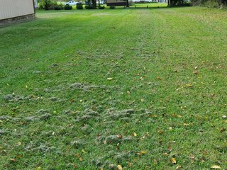 Property photo 51 - COUNTRY HOME FOR SALE - 1.5+/-ACRES IN NOBLE COUNTY, INDIANA