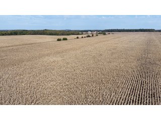 Property photo 13 - LAND FOR SALE - 151.93+/-ACRES IN WAYNE COUNTY, INDIANA