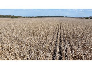 Property photo 14 - LAND FOR SALE - 151.93+/-ACRES IN WAYNE COUNTY, INDIANA