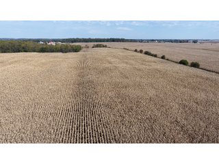 Property photo 8 - LAND FOR SALE - 151.93+/-ACRES IN WAYNE COUNTY, INDIANA